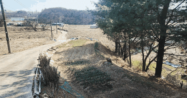 경기도 안성시 보개면 가율리 260 전 경매 물건 이미지