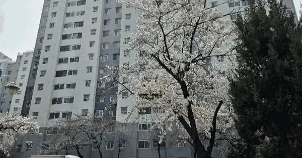 경기도 부천시 소사구 송내동 340 우성아파트 2동 4층 407호 아파트 경매 물건 이미지