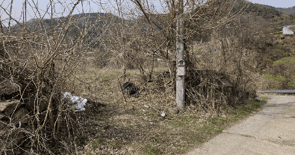 대구광역시 달성군 화원읍 본리리 1086-2 답 경매 물건 이미지