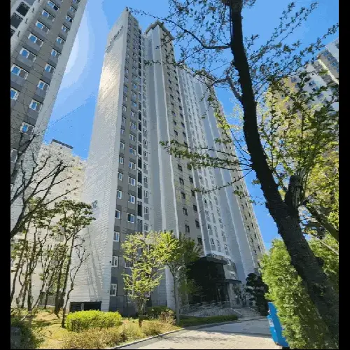 물건 사진