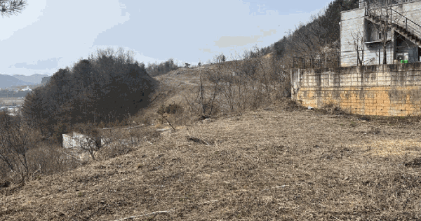 강원특별자치도 홍천군 서면 모곡리 산98-43 임야 경매 물건 이미지