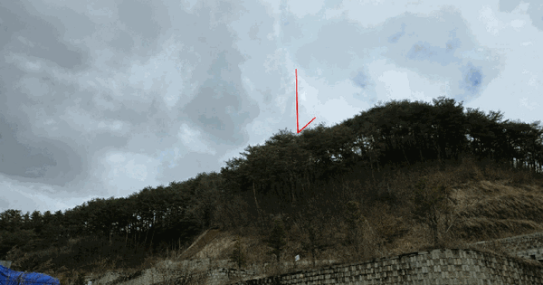 강원특별자치도 홍천군 홍천읍 하오안리 산82 임야 경매 물건 이미지