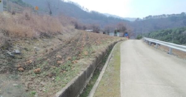 강원특별자치도 홍천군 내면 율전리 산24-6 임야 경매 물건 이미지