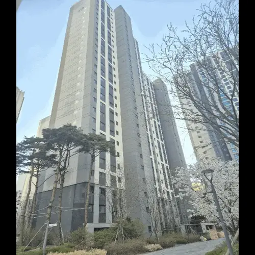 물건 사진