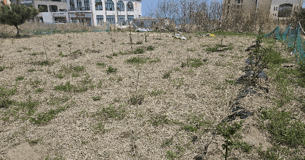 울산광역시 북구 산하동 1024-9 대지 경매 물건 이미지
