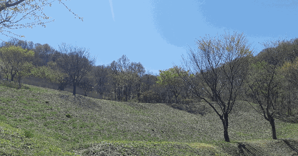 경상북도 성주군 성주읍 성산리 418-1 전 경매 물건 이미지