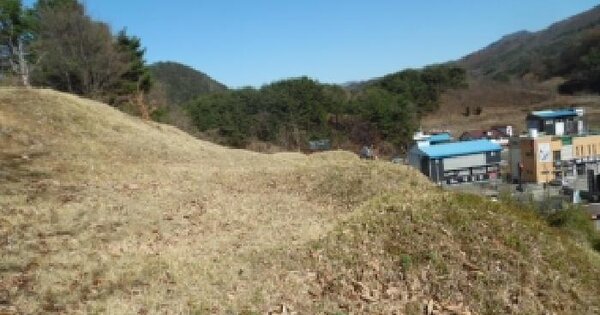 전북특별자치도 무주군 설천면 심곡리 1054-4 임야 경매 물건 이미지