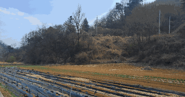 충청북도 단양군 영춘면 만종리 300-9 전 경매 물건 이미지