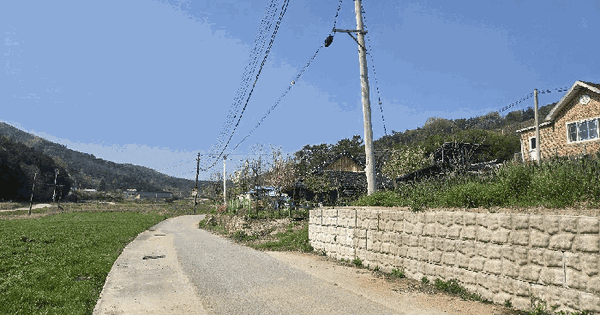 전북특별자치도 김제시 금산면 용호리 395-1 대지 경매 물건 이미지