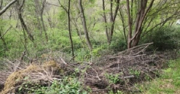 전남광주통합특별시 구례군 구례읍 산성리 74-3 임야 경매 물건 이미지