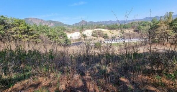 충청남도 금산군 제원면 대산리 550-1 전 경매 물건 이미지