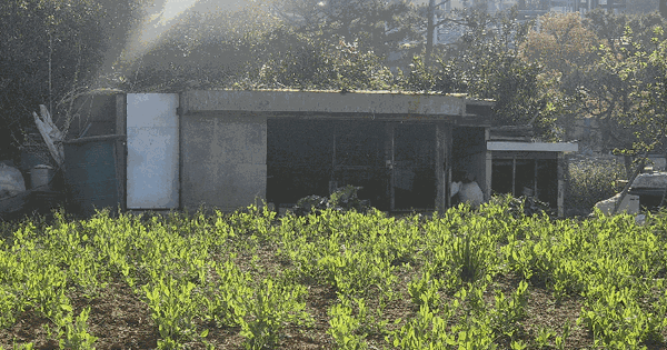 전남광주통합특별시 무안군 삼향읍 남악리 1917 대지 경매 물건 이미지