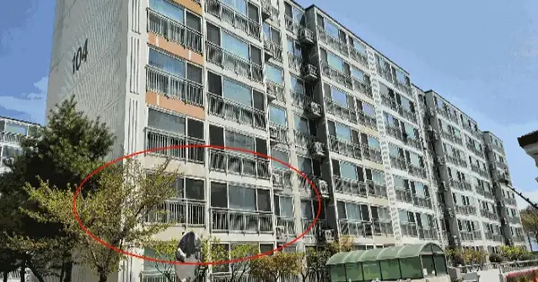 경상북도 경주시 충효동 44-3 삼정그린뷰경주본가아파트 104동 2층206호 아파트 경매 물건 이미지