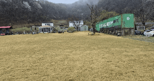 충청남도 논산시 가야곡면 양촌리 324-2 전 경매 물건 이미지