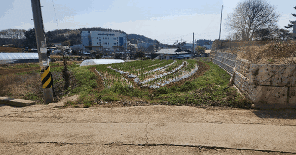 충청남도 태안군 남면 신온리 525-1 전 경매 물건 이미지