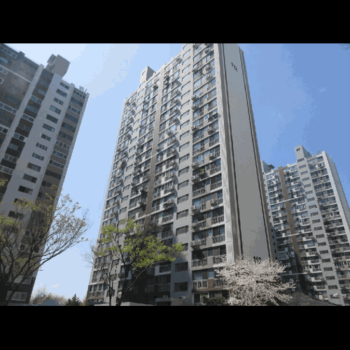 물건 사진