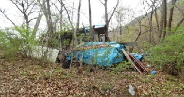 전북특별자치도 무주군 무풍면 금평리 684 임야 경매 물건 이미지