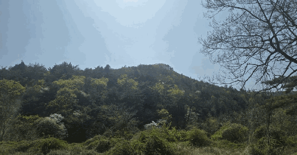 전남광주통합특별시 화순군 한천면 반곡리 산62 임야 경매 물건 이미지