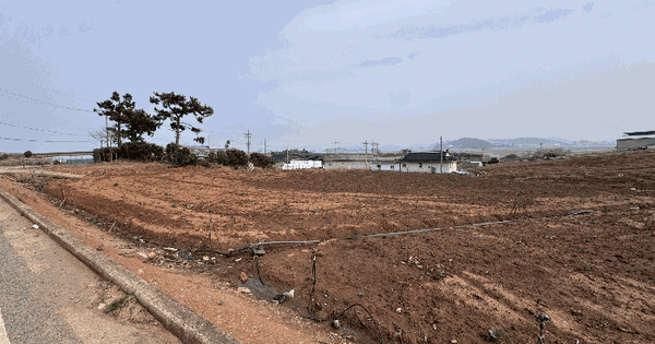 전남광주통합특별시 무안군 현경면 가입리 70-1 전 경매 물건 이미지