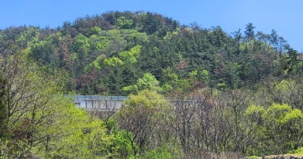 전남광주통합특별시 광양시 광양읍 초남리 산126-1 임야 경매 물건 이미지