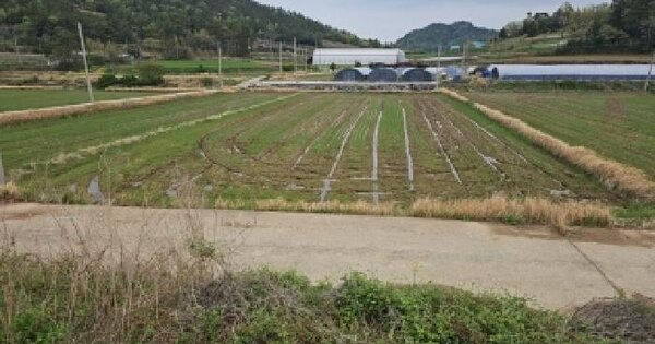 전남광주통합특별시 진도군 지산면 보전리 1241-2 답 경매 물건 이미지