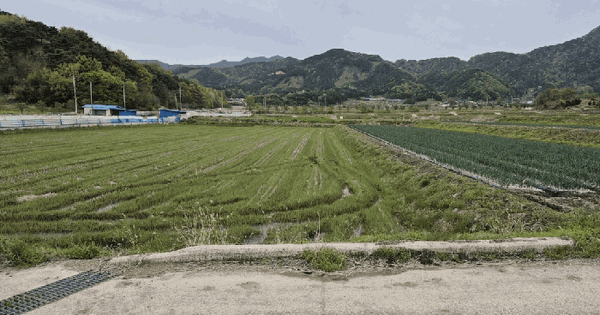 전북특별자치도 장수군 산서면 쌍계리 713 답 경매 물건 이미지