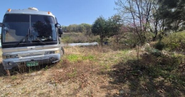 세종특별자치시 장군면 봉안리 575-6 임야 경매 물건 이미지