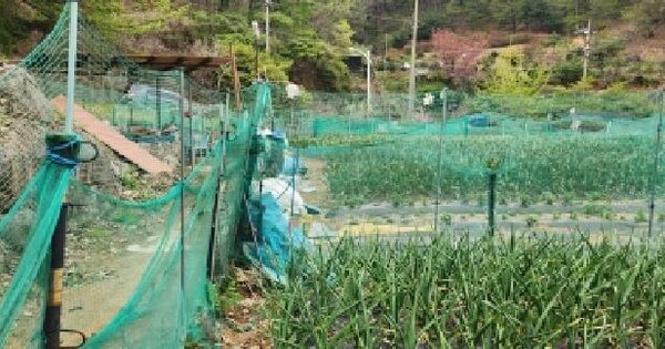 경기도 광주시 목현동 768-2 전 경매 물건 이미지