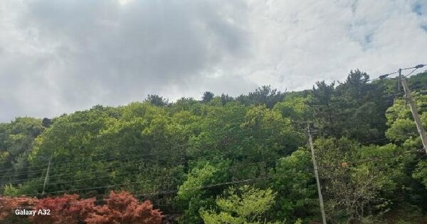 경상남도 거제시 문동동 산99-13 임야 경매 물건 이미지