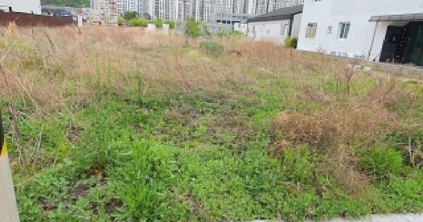 경상남도 김해시 주촌면 천곡리 1583-19 대지 경매 물건 이미지