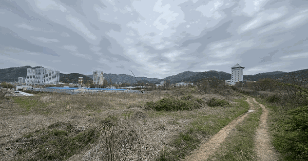 전남광주통합특별시 무안군 청계면 도림리 408-25 임야 경매 물건 이미지