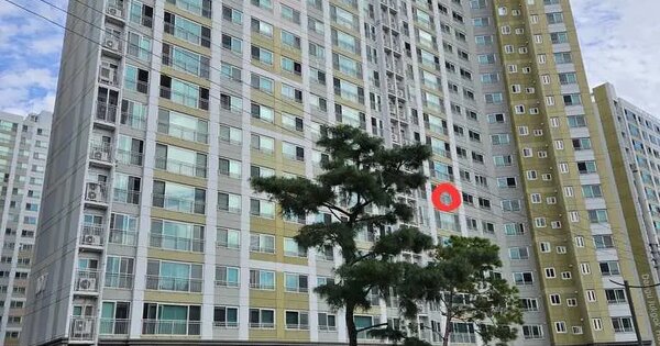 물건 대표 이미지