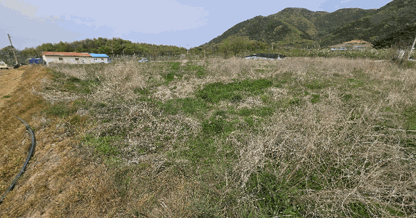 충청북도 보은군 삼승면 내망리 357 전 경매 물건 이미지