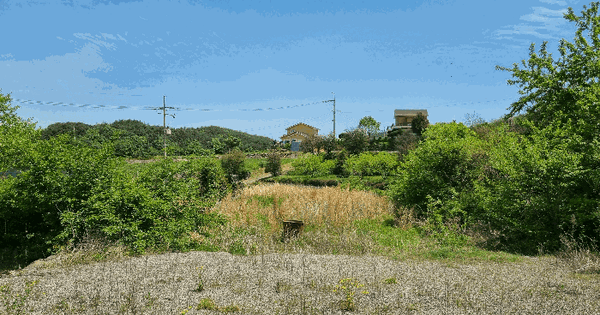 경상남도 남해군 설천면 문의리 1140-1 전 경매 물건 이미지