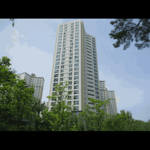 물건 사진