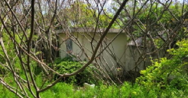 전남광주통합특별시 고흥군 동강면 죽암리 366-1 전 경매 물건 이미지