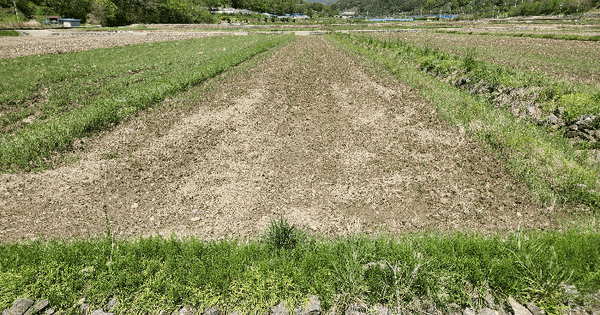 경상남도 의령군 칠곡면 도산리 223-9 답 경매 물건 이미지
