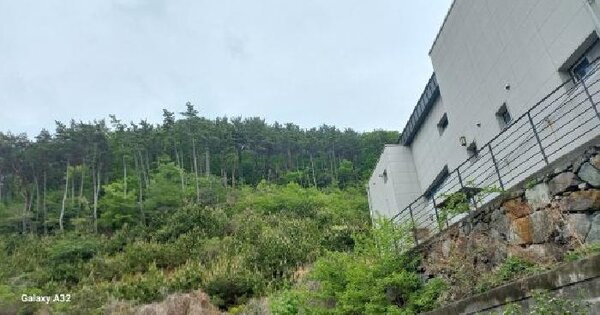 경상남도 거제시 아주동 산57-2 임야 경매 물건 이미지