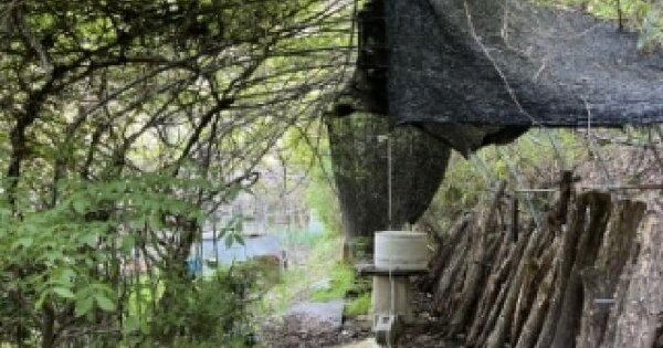전북특별자치도 정읍시 산외면 상두리 256 답 경매 물건 이미지