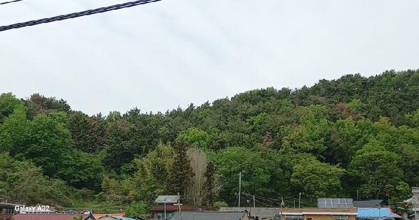 경상남도 고성군 하일면 학림리 산40 임야 경매 물건 이미지