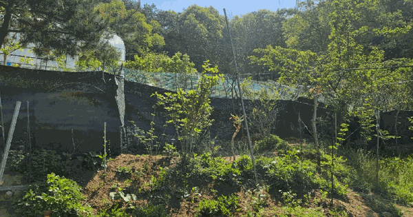 경기도 양주시 마전동 438 답 경매 물건 이미지
