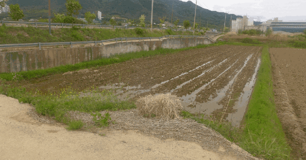 경상북도 경주시 외동읍 입실리 360-7 답 경매 물건 이미지