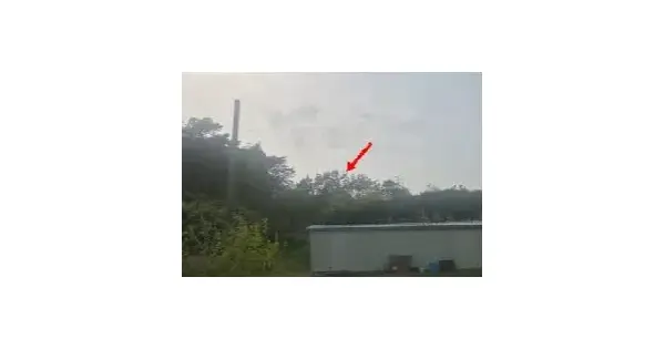 전남광주통합특별시 목포시 대양동 375-11 임야 경매 물건 이미지