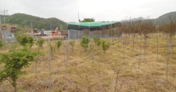 전북특별자치도 완주군 경천면 용복리 243-1 전 경매 물건 이미지