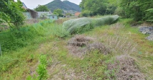 경상남도 창원시 마산합포구 진전면 시락리 104-1 답 경매 물건 이미지