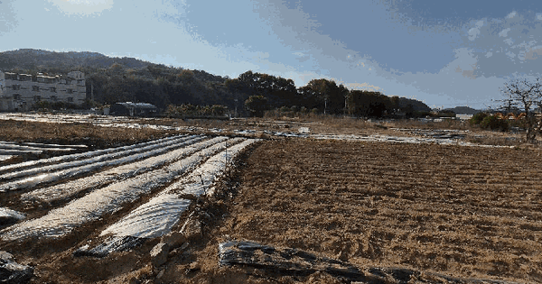 경상남도 함안군 칠서면 청계리 752 답 경매 물건 이미지