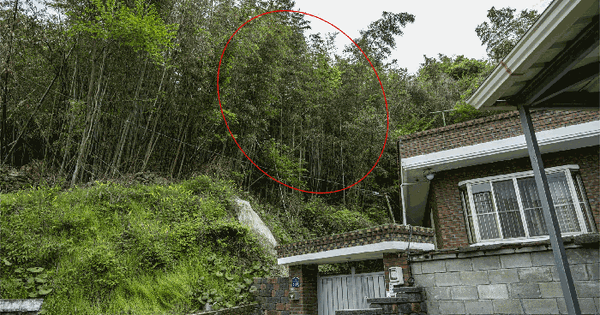 전남광주통합특별시 광양시 광양읍 구산리 448 대지 경매 물건 이미지