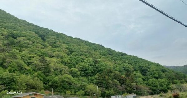 경상남도 거제시 동부면 구천리 산123-3 임야 경매 물건 이미지