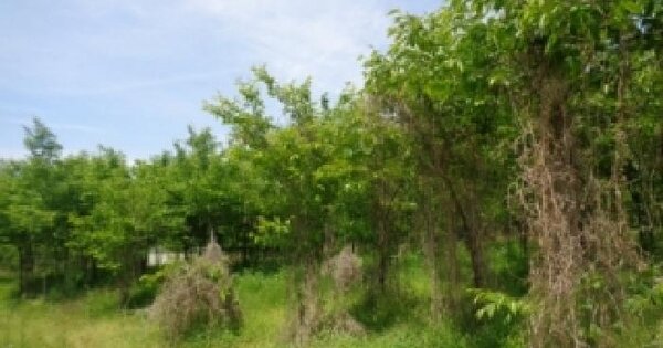 전북특별자치도 전주시 완산구 효자동2가 829-5 전 경매 물건 이미지