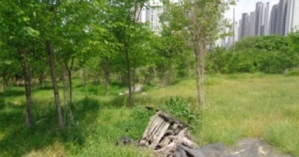 전북특별자치도 전주시 완산구 효자동2가 829-1 전 경매 물건 이미지